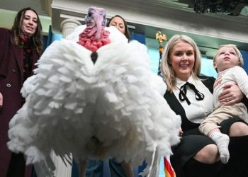 How the White House turkey pardon became an American tradition