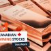 Top 5 Canadian Mining Stocks This Week: Pacific Empire Metals Gains 200 Percent on Drill Results